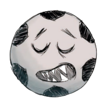Pelota 5